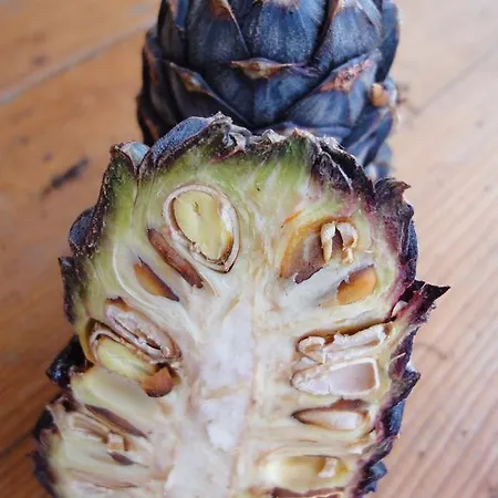 Alt-oetztal Casa de hóspedes