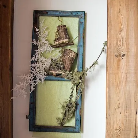 Alt-oetztal 게스트하우스 4*