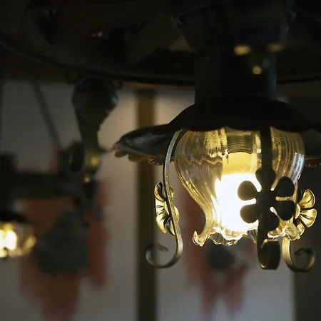 Alt-oetztal 게스트하우스