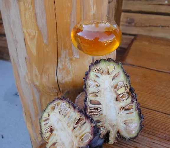 Alt-oetztal Konukevi 4*