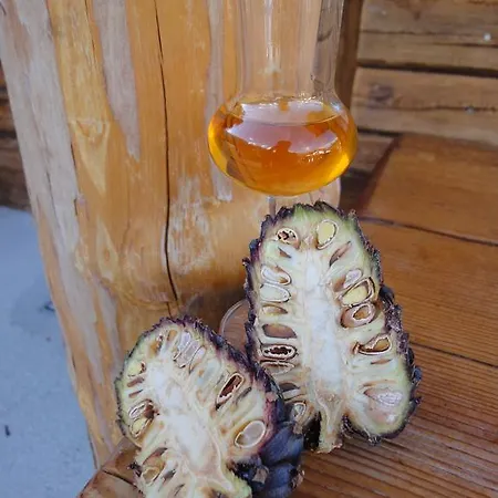 Alt-oetztal Pensjonat 4*